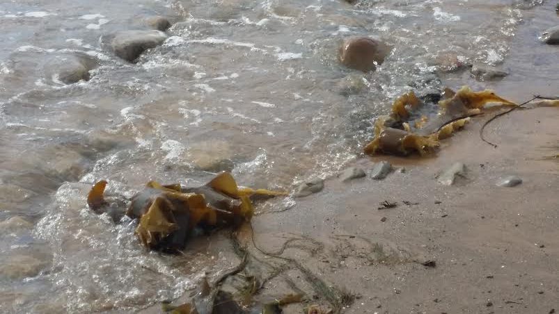 Crédit photo: France Trudelle